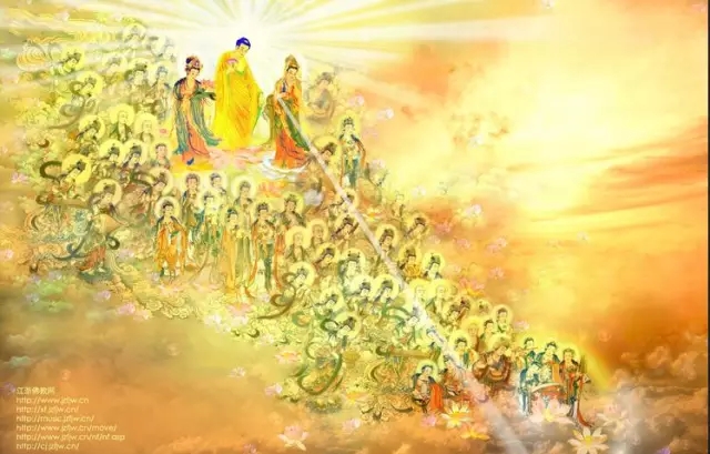 640.webp.jpg 640.webp.jpg