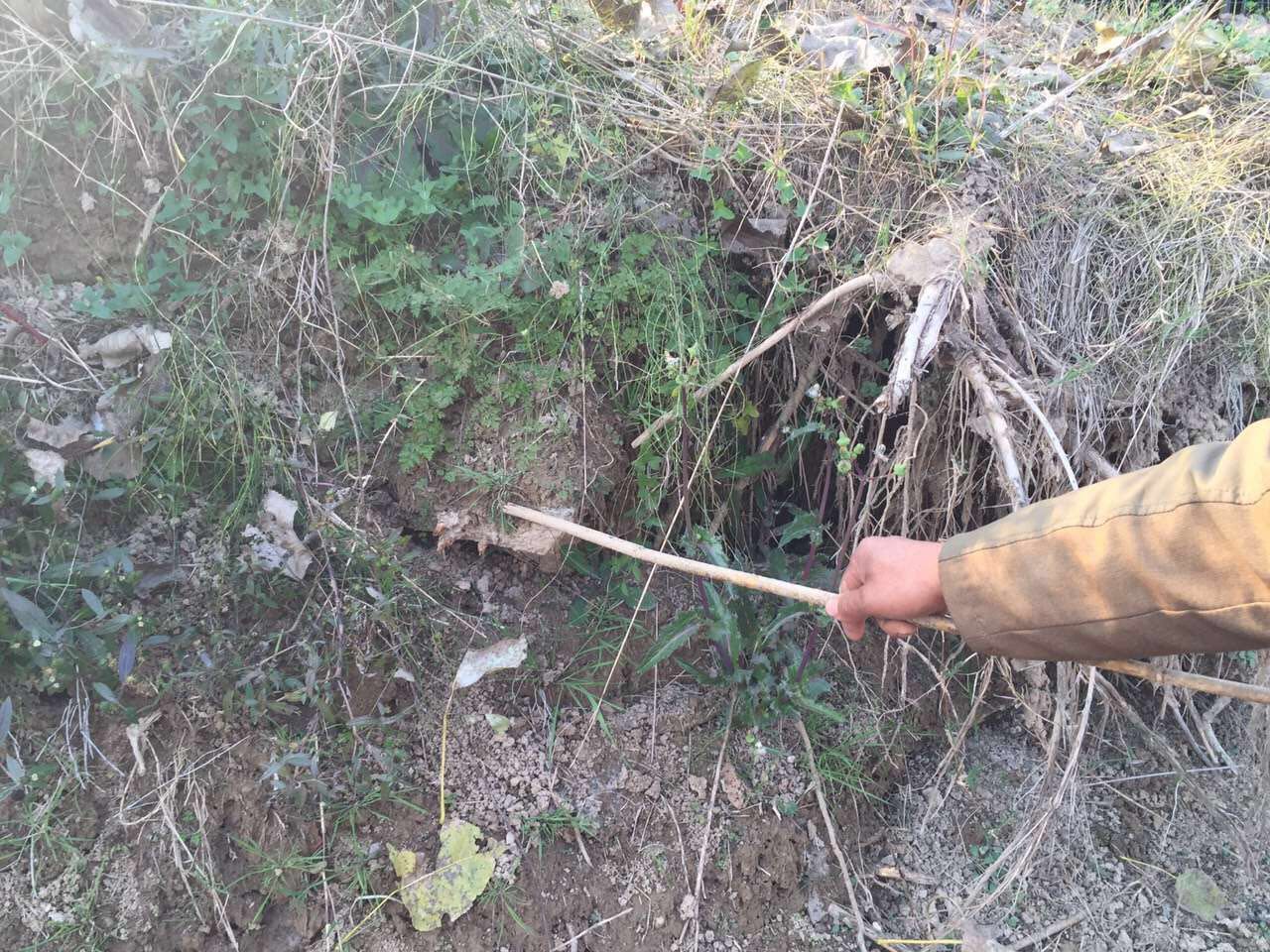 ��������ʦ���ֵ�����լ����լ��ˮ